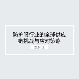 防护服行业的全球供应链挑战与应对策略